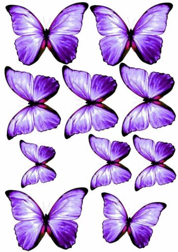 Wydruk na papierze jadalnym